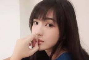 精选介绍套件